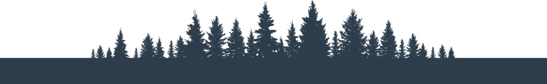 Footer Redwood Trees Background